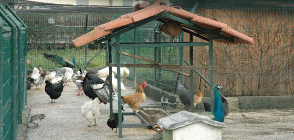 Parque Ecológico de Santa Comba Dão