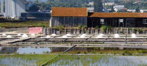 Núcleo Museológico do Sal na Figueira da Foz