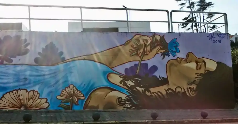 Mural - Arte Urbana em Aveiro